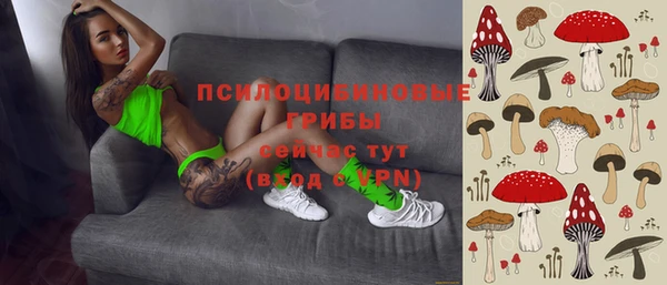 шишки Алексеевка
