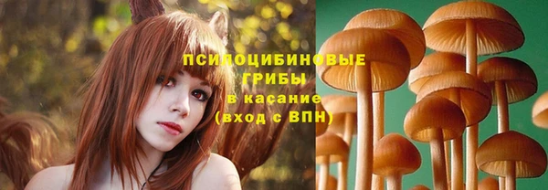 бошки Алзамай
