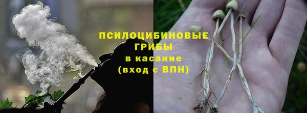шишки Алексеевка
